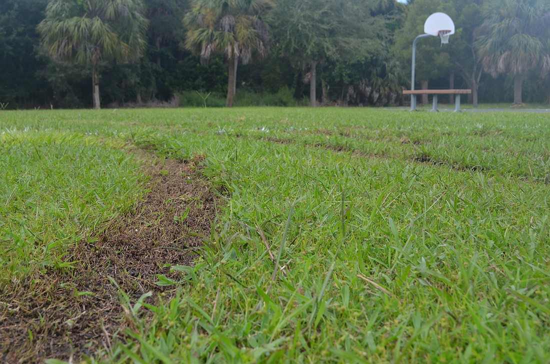 Suncoast Sports Club Inc. Vice President of Operations Stephen Weeks suspects someone on a four wheeler is responsible for the ruts that were cut into Glebe Park soccer field on Sunday night.