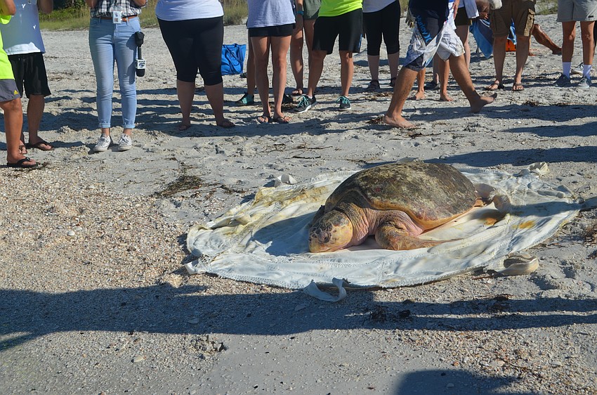 Tucker B. took a few minutes before warming up to the water.