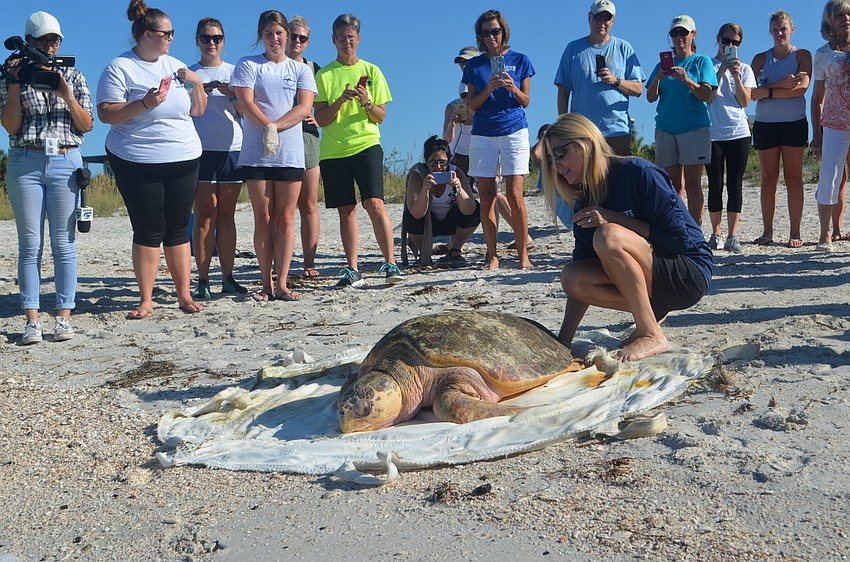 Lynne Byrd, Mote’s Rehabilitation and Medical Care Coordinator, gives Tucker B. a pep talk.