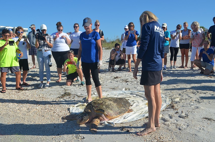 Jenna Rouse and Lynn Byrd wait for Tucker B. to start moving toward the water. When he didn’t, they moved him a little closer.