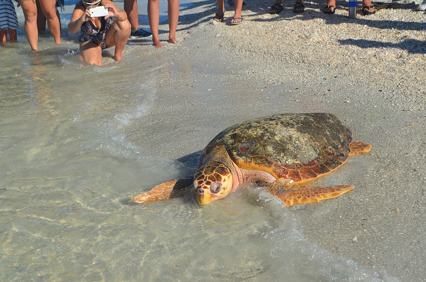 Tucker B. takes a turn while he contemplates his return to the gulf.
