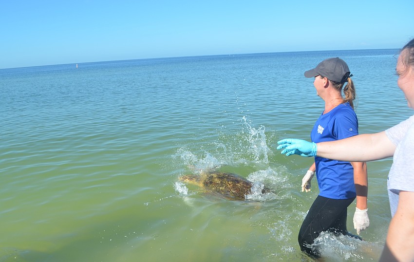 Jenna Rouse watches as Tucker B. heads out into deeper water.