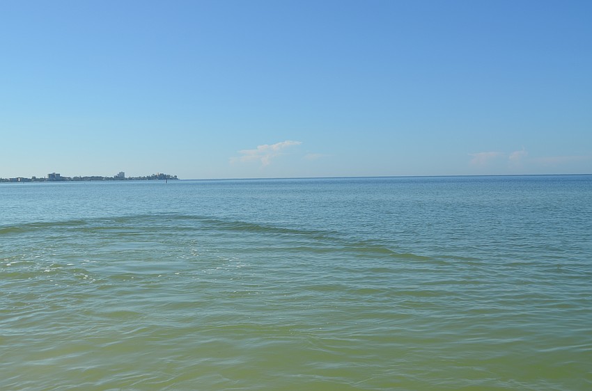 Tucker B. left a wake as he swam out into the gulf.