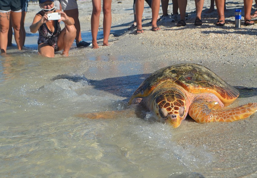 Tucker B. takes a turn while he contemplates his return to the gulf.