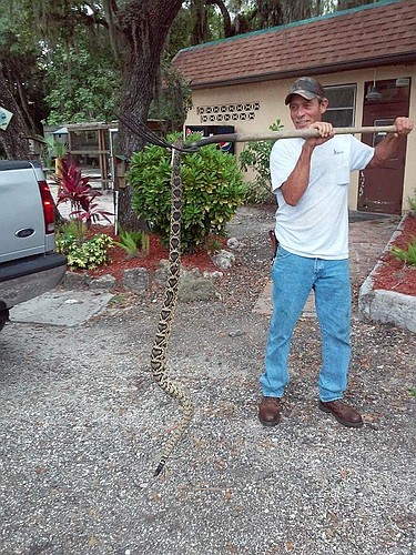 Carl Berstresser shows off to neighbors a seven-foot snake he caught. Courtesy photo.