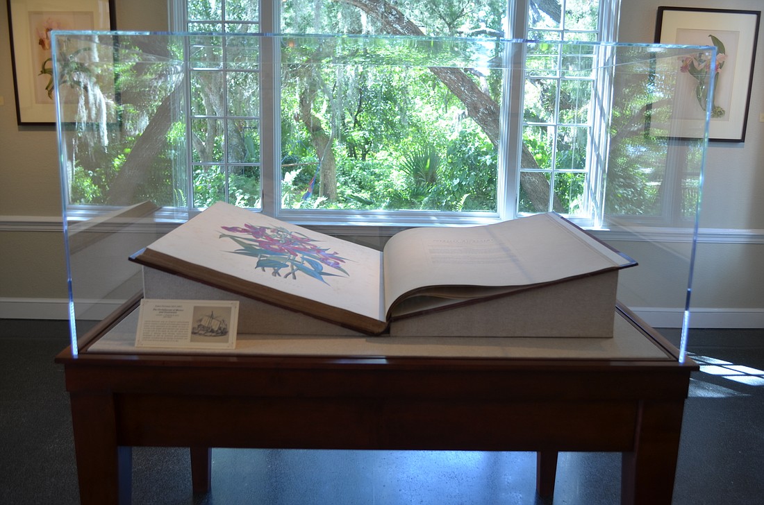 Selbyâ€™s copy of â€œThe Orchidaceae of Mexico and Guatemalaâ€ by James Bateman â€” the largest and heaviest book on orchids ever to be printed â€” is a focal point of the botanical art section of the exhibit. Photo by Niki Kottmann.