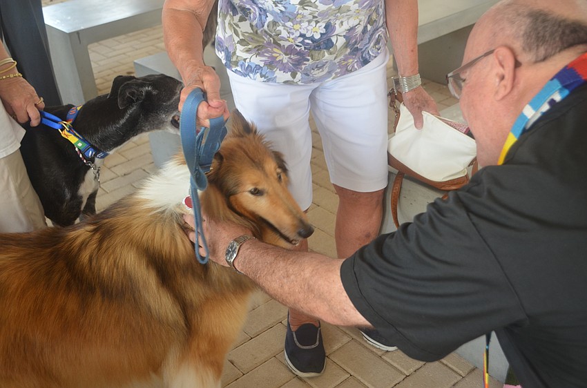 Lassie, 7, a collie, gets blessed by Reverend Wayne Farrell at the St. Boniface animal blessing on Oct. 1.