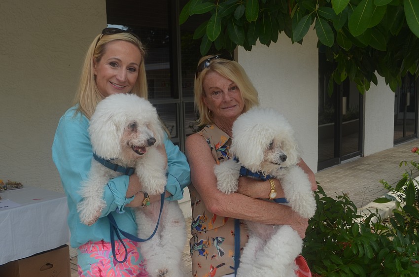 Suzanna and Bunny Coelingh with their bichon frises Riley, 11, and Ricky, 15
