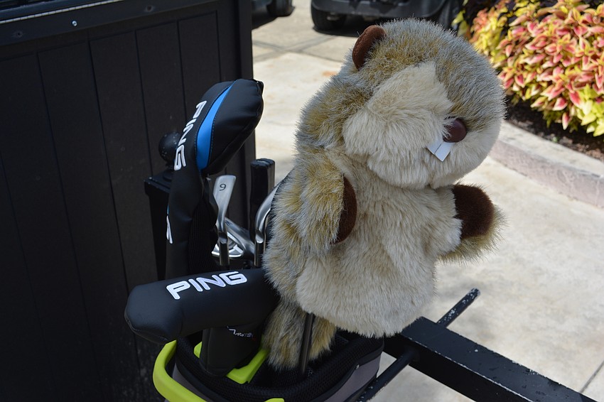 Yes, a gopher was seen on the course.