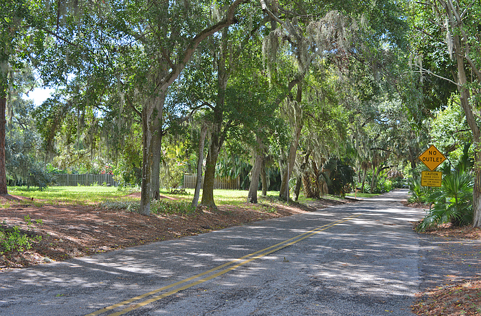 In addition to prohibiting commercial development, residents want the city to consider purchasing the Hampton Road property and turning it into parkland.