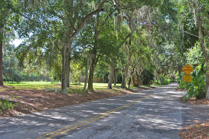 In addition to prohibiting commercial development, residents want the city to consider purchasing the Hampton Road property and turning it into parkland.