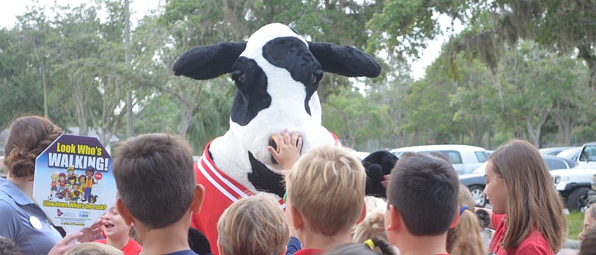 The Chick-fil-A cow greets all of the students who chose to participate in National Walk to School Day at Braden River Elementary.