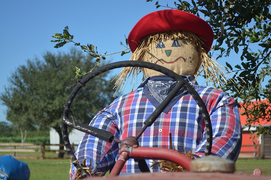 One of the home made scarecrows takes the wheel of one of the many tractors the Hunsader family has out for the upcoming Pumpkin Festival.