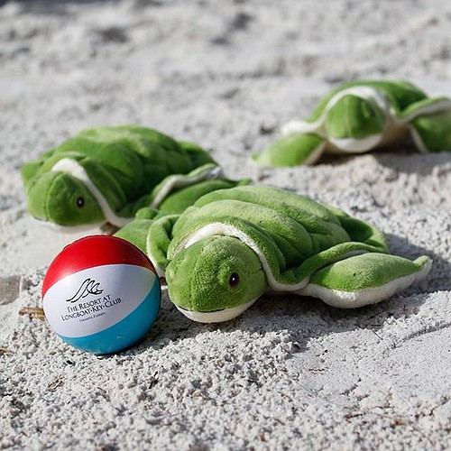 Loggerhead turtles took over the LBK Club's social media to raise awareness of the turtles that live on Longboat. Photo courtesy of the Longboat Key Club and Resort.
