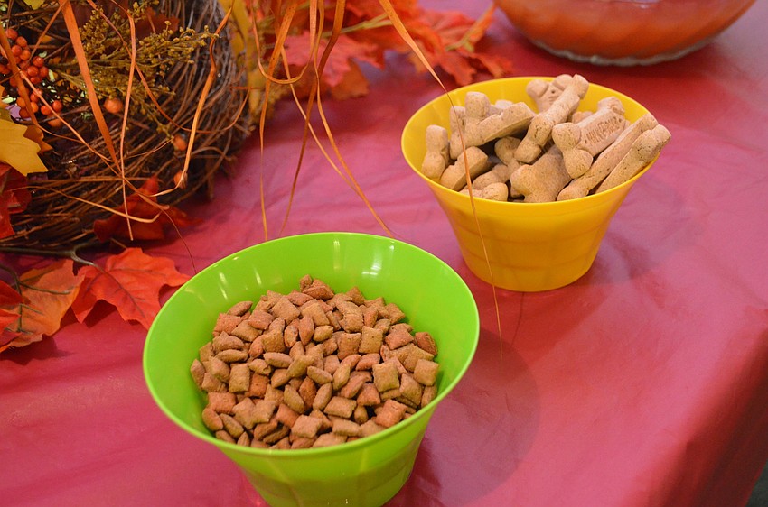 Humans weren’t the only ones who got treats following the blessing at St. Armands Key Lutheran Church. Dog and cat treats were provided as well.