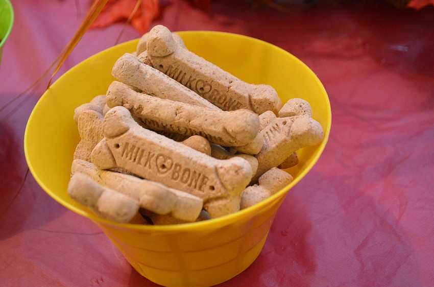 Following the annual pet blessing at St. Armands Key Lutheran Church attendees, including the animals, were treated to refreshments.