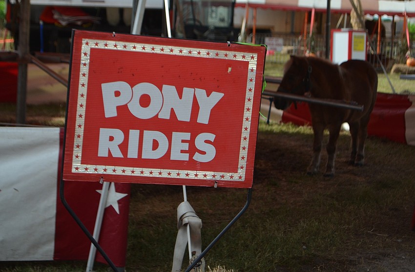 Those who attended the festival were able to horse around.