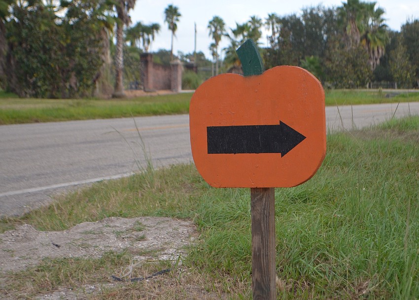 It was easy to find the pumpkin festival.