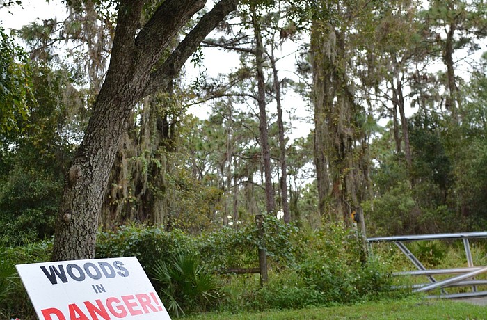 Residents in Braden Woods have formed a group called Keep Woods Inc. to oppose development of the site. The group also hopes to raise money to purchase the 33-acre property for conservation.