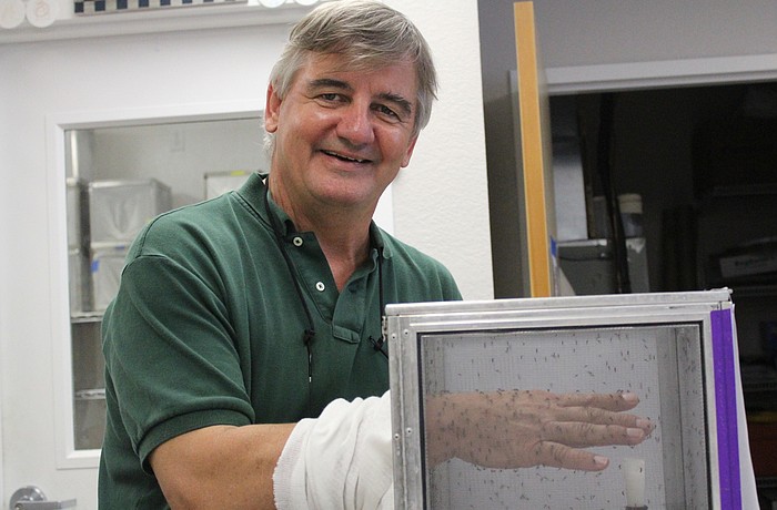 Mark Latham, director of Manatee County Mosquito Control, smiles despite there being hundreds of mosquitoes swarming his hand.