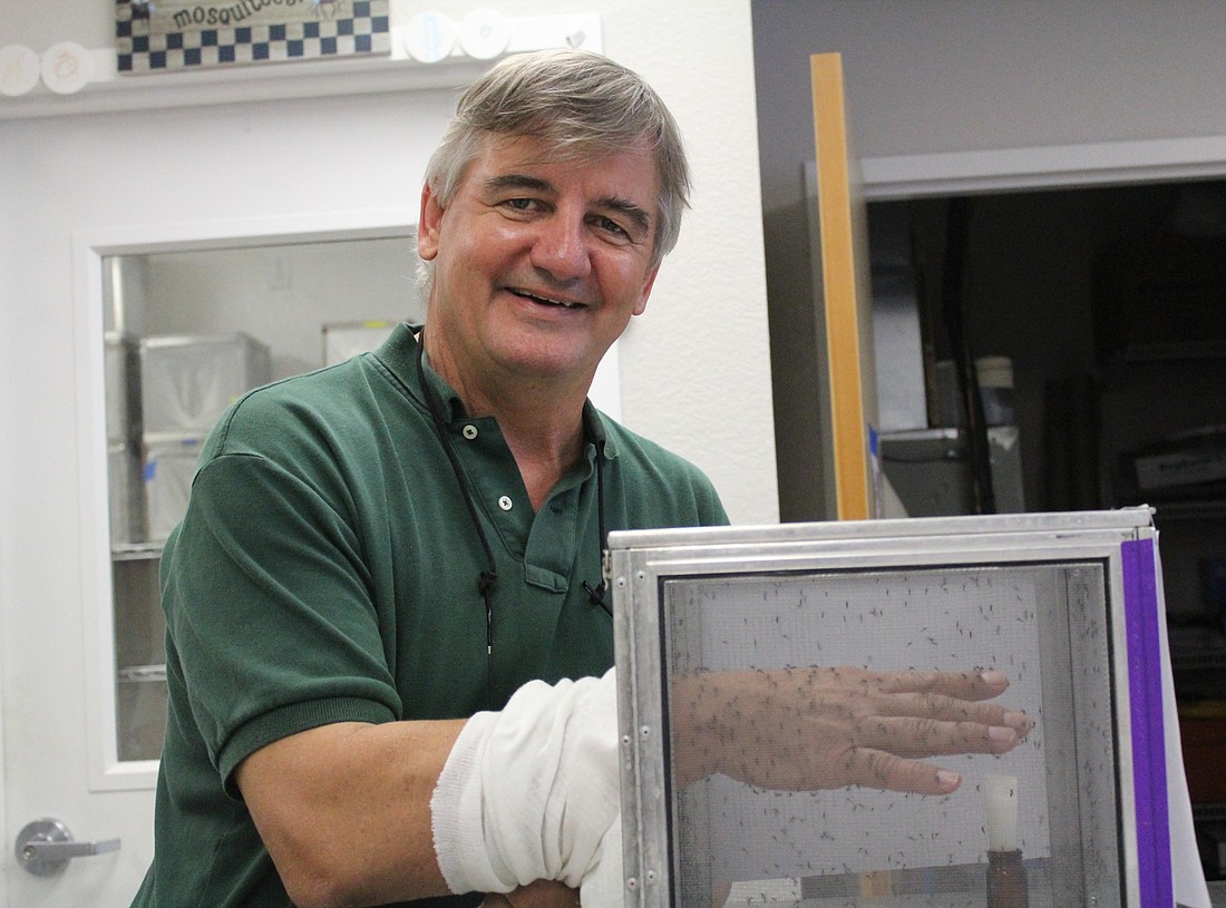 Mark Latham, director of Manatee County Mosquito Control, smiles despite there being hundreds of mosquitoes swarming his hand.