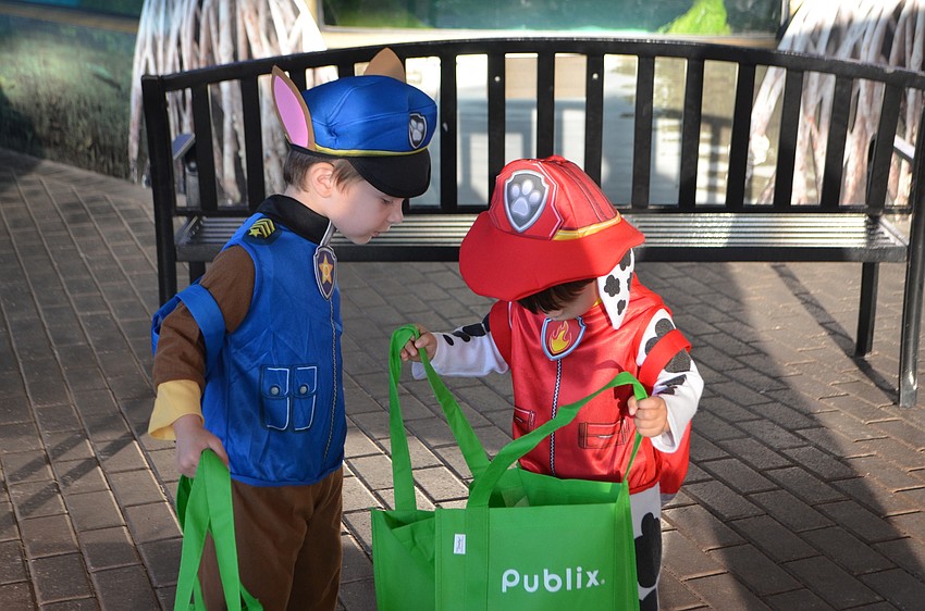 Danny, 3 and Chris Conetta, 2, look at the candy they collected at Mote’s Night of Fish, Fun and Fright.