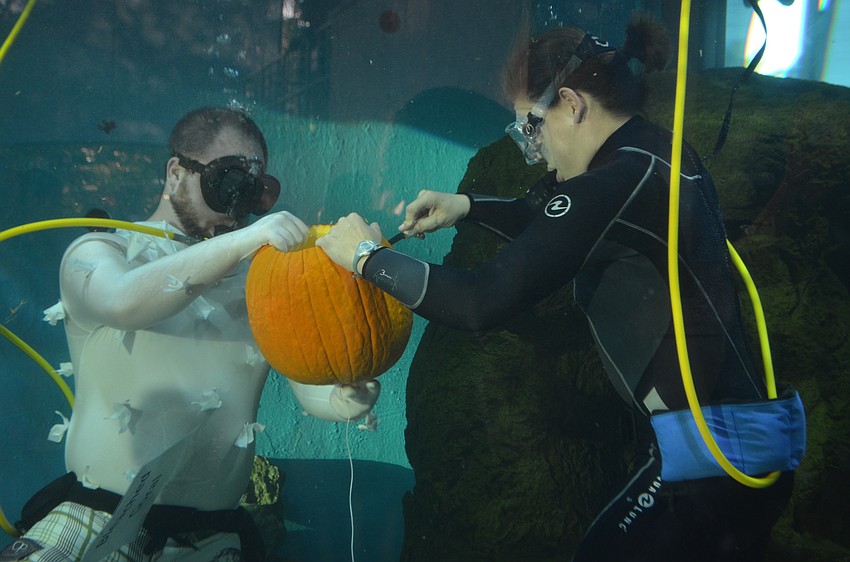 Mote staff carve pumpkins in one of the fish tanks during the Night of Fish, Fun and Fright on Oct. 21.