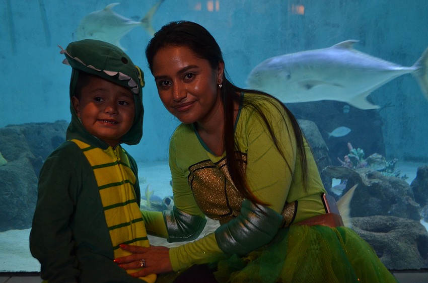 Brian, 3, and Laura Llorca watch the sharks at Mote’s Night of Fish, Fun and Fright