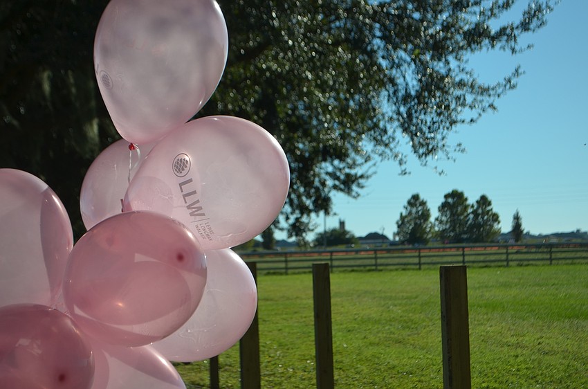 Pink balloons, a symbol for breast cancer awareness, hang on the trees throughout the walking course during the Strides Against Breast Cancer Walk at the Sarasota Polo Club.
