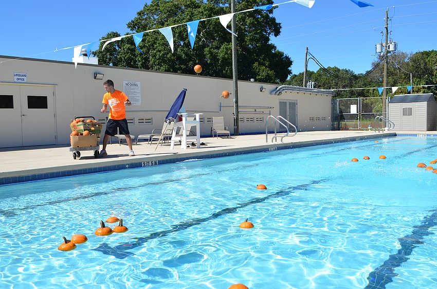 Pumpkins are added to the instructional pool for children to swim and pick.