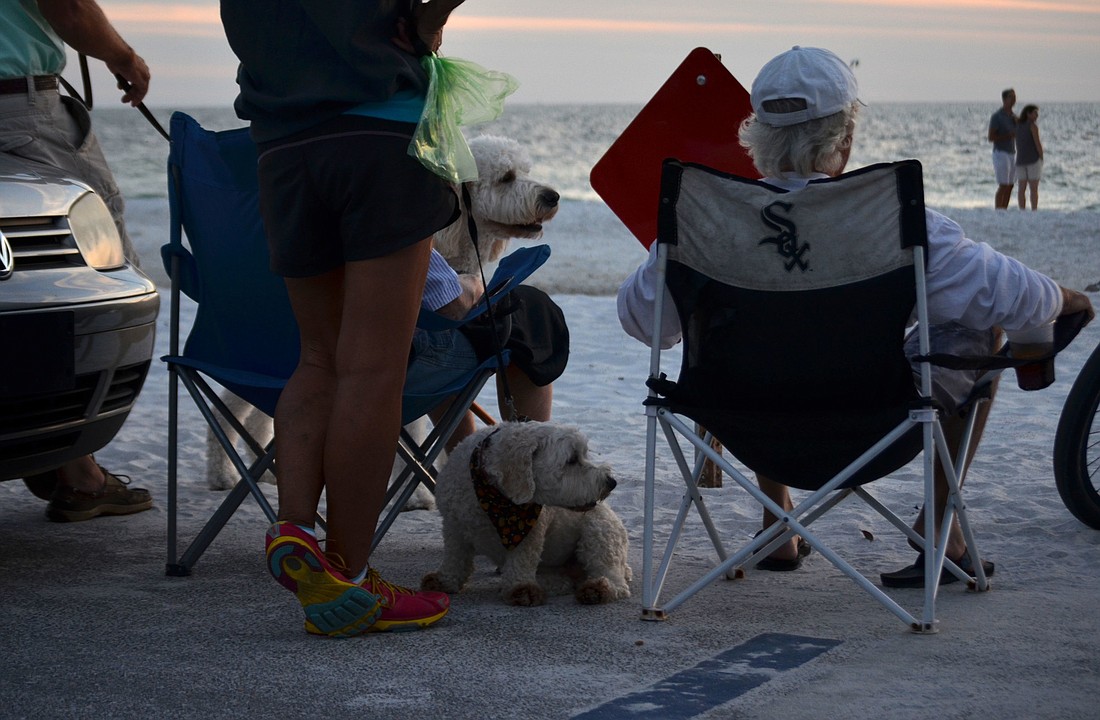 Kathi Scuba stands next to her dog, Buster, on the â€œdoggie beachâ€ near Beach Access 2 on Siesta Key.