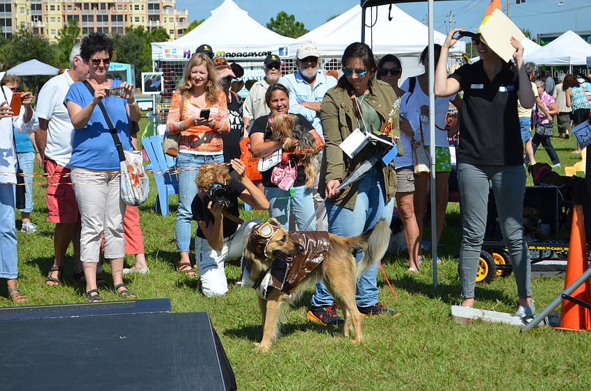 Charlie the pilot takes home the prize for most creative costume.