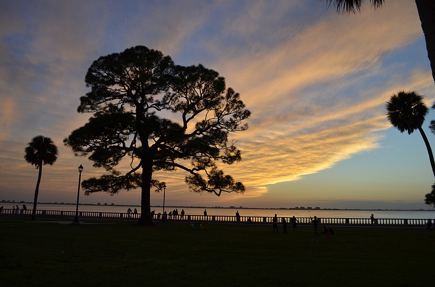 Attendees enjoy a beautiful sunset over Sarasota Bay.