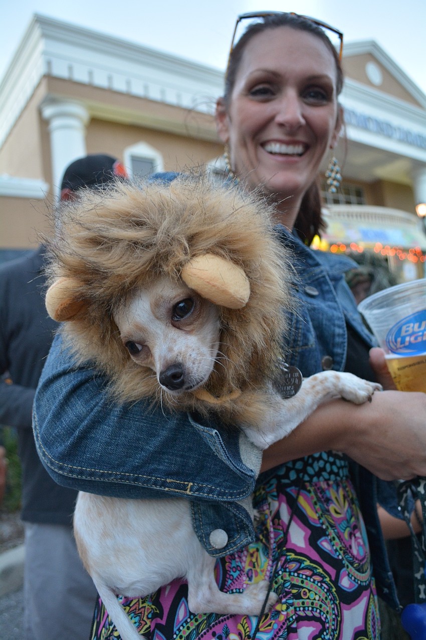 Chili sported his lion costume without complaining, said his owner, Kristie Skoglund, of Lakewood Ranch.