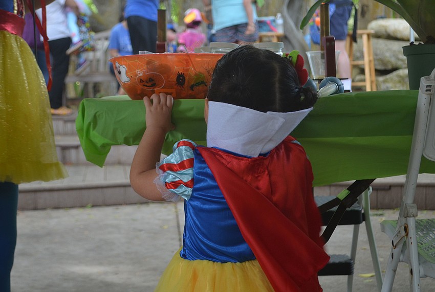 Sienna Ackerman peers into the candy bowl at Selby's Spooktacular event on Sunday at Marie Selby Gardens. Sienna Ackerman dressed as Snow White.