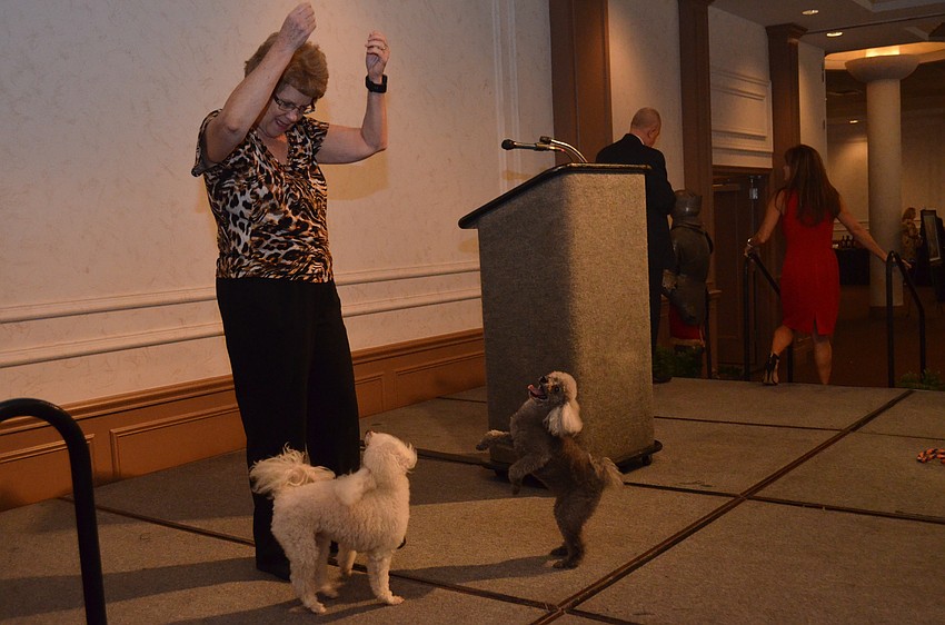 Penny Noriega practices with her “Dancing Poodles,” Springer and Roxy, before their choreographed performance.