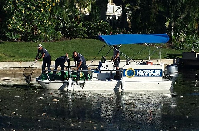 Town Manager David Bullock said 16 more canals were cleaned of red tide-stricken dead fish Wednesday.