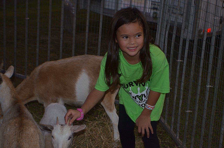 Bradenton 2-year-old Kaia Hopkins makes a friend in the goat pen.