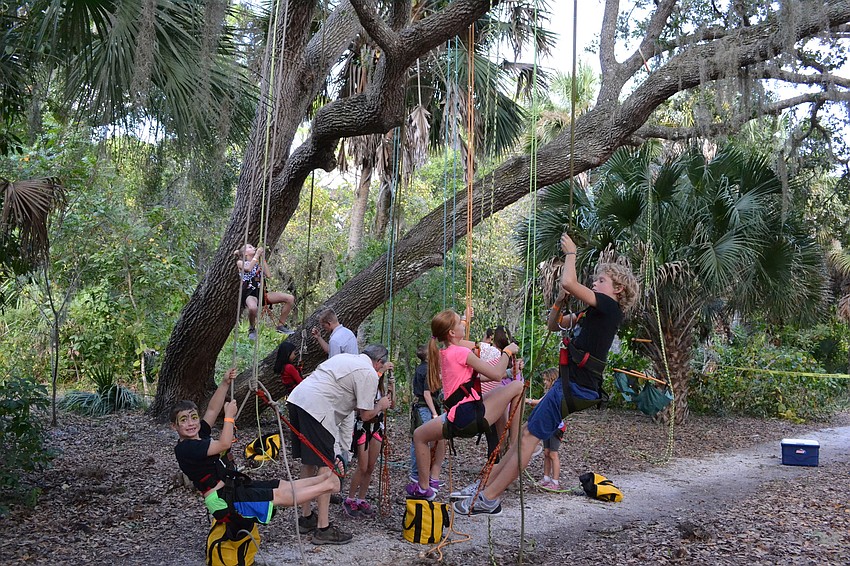 Children climb to the tops of the trees during the 2016 Fall Family Festival.