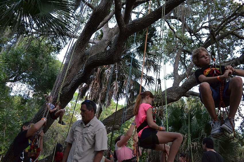 Children climb to the tops of the trees during the 2016 Fall Family Festival.