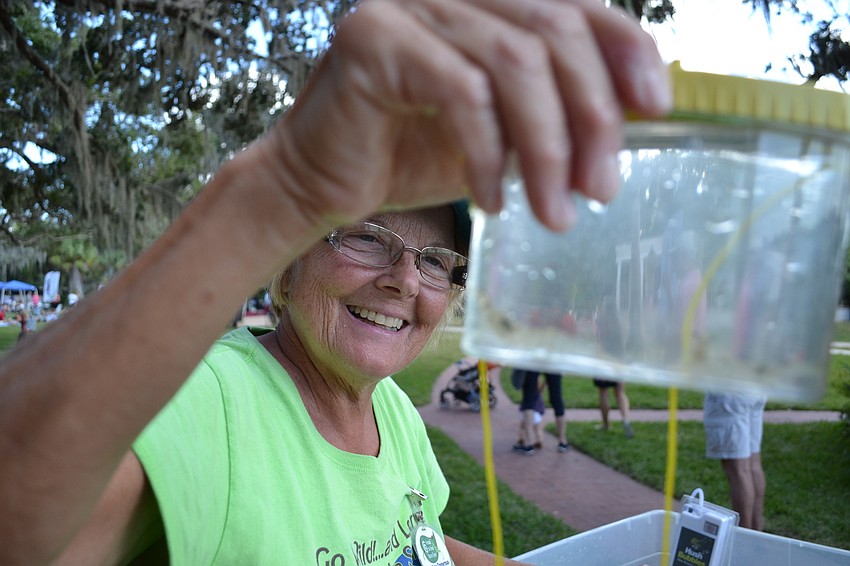 Erica Timmerman of Around the Bend Nature Tours holds up baby shrimp caught in the waters near Bay Preserve.