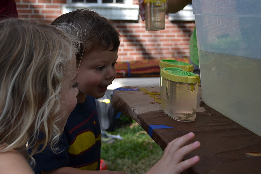Harper Donahue and Lucas Deatherage delight in observing marine life.
