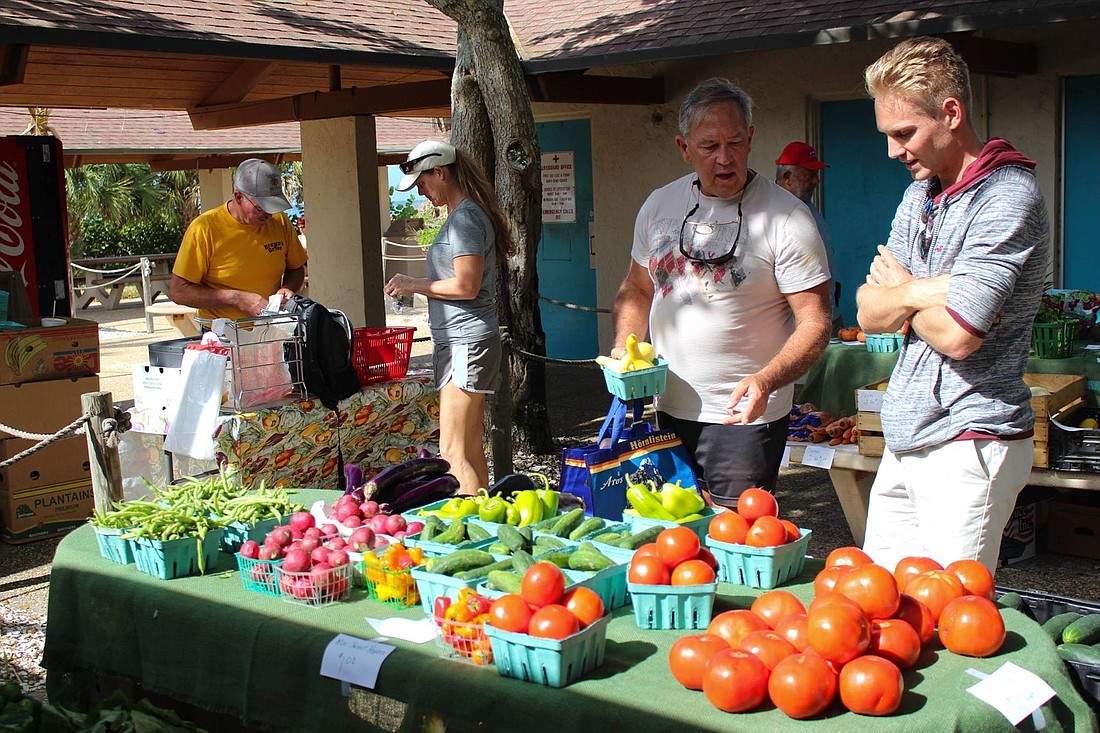 Residents peruse the produce options available at the Lido Key Veggie Market Nov. 3. The eventâ€™s organizers are hopeful the market will allow barrier island residents to reduce their trips onto the mainland.