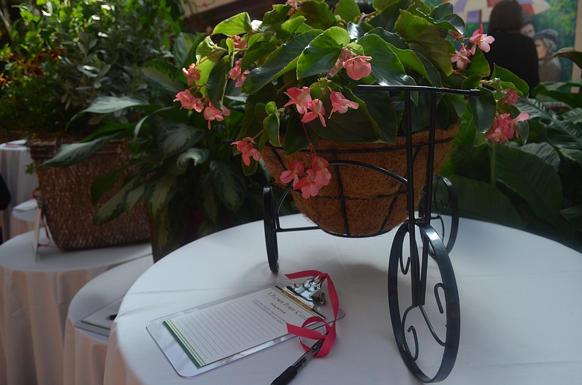 An Angel Wing Begonia in a bicycle-shaped pot was for auction, starting at $75.