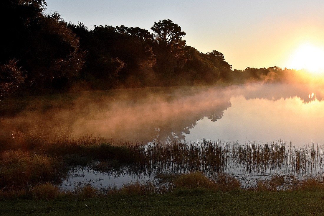 Susan DeVictor captured this shot over a lake on a foggy morning in Lakewood Ranch.