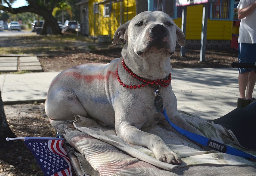 Sergeant sits on the back of an all-terrain vehicle while waiting for the parade to begin on Main Street.