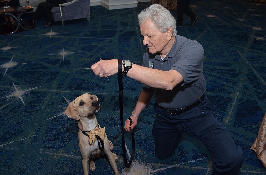 Humane Society of Sarasota County volunteer Brendan Egan pretends to hold a treat for Maximus, a 3-year-old mountain cur.