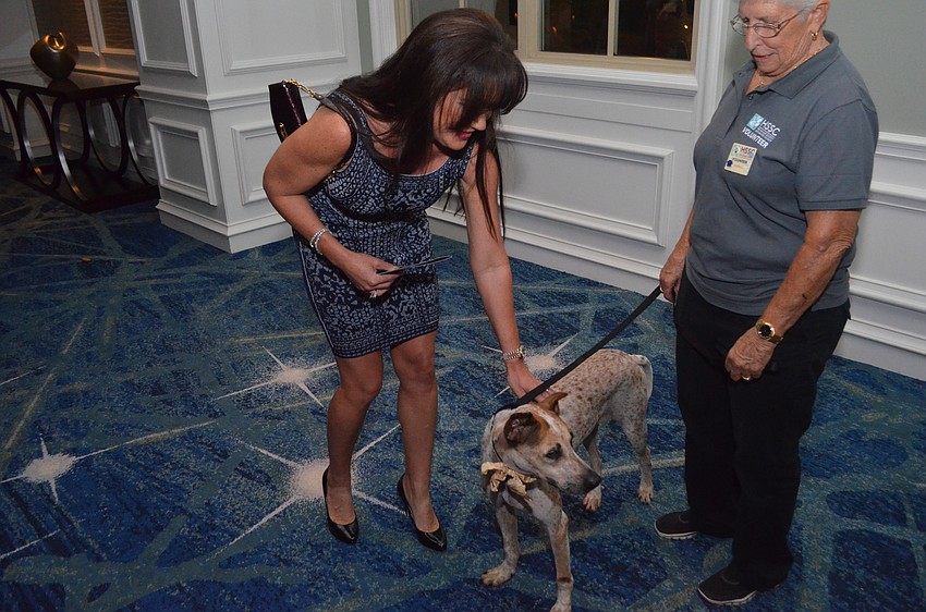 Lisa Eldridge pets Angus, 3, a pointer mix.