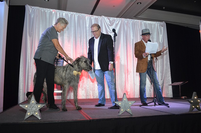 2-year-old Irish wolfhound Finn McCool is auctioned off for $1,100 by Ken Sons and Les McCurdy.