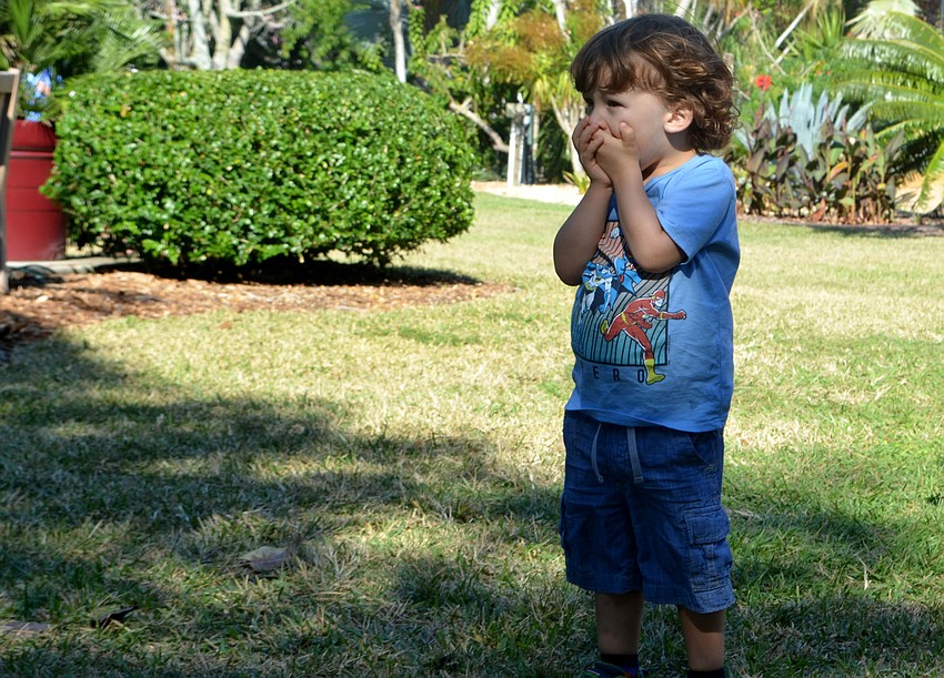 Bejamin Sims, 3, gasps as a large boat floats past the viewing deck at Marie Selby Botanical Gardens.